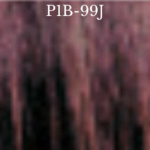P1B-99J
