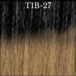 T1B-27